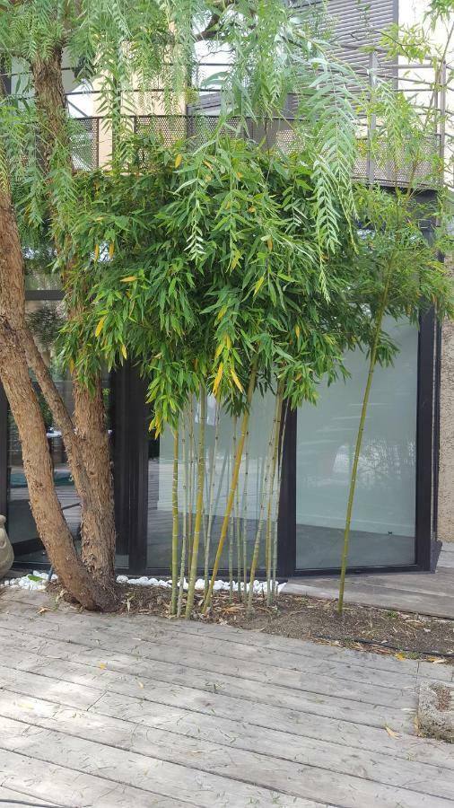 Les Aromatiques - Terrasse & Parking Prive A Villeneuve Les Avignon - Proche Golf Academy Ngoại thất bức ảnh